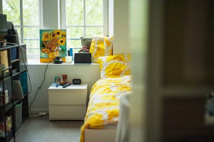 MGEL Logement Location T1 studio Logements etudiants Du Mail Residence etudiante Metz