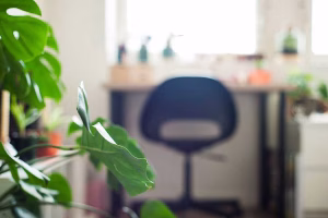 Logement etudiant Reims Residence etudiante Moulins MGEL Logement