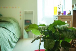 Logement etudiant Residence Le Faubourg Strasbourg T1 Studio