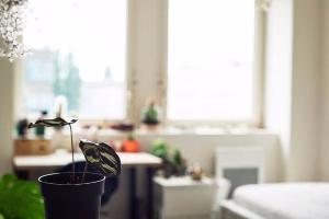 Residence etudiante Moulins Reims MGEL Logement