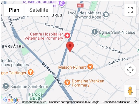 REIMS-Carte-residence-LAUDINE-mobile